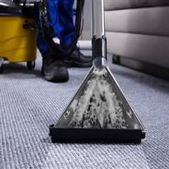 Next-Level Clean: Why Carpet Cleaning In Chicago After Maid Service Matters