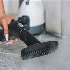 Transform Your Home In Chicago With A Carpet Cleaning Company And House Cleaning Service Combo