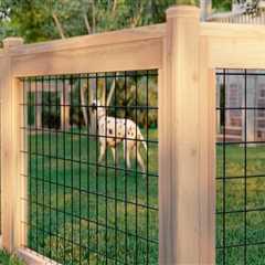 Building a Fence on a Budget: Expert Tips and Tricks