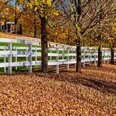 When is the Best Time to Install a Fence?