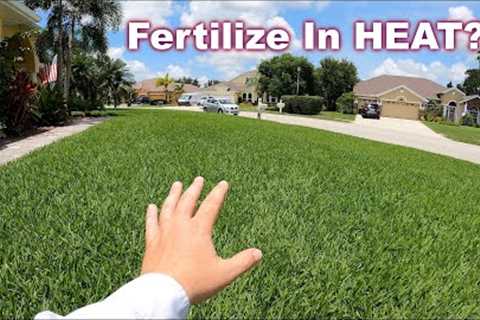 Can You Fertilize The Lawn in Summer and Not Burn It?