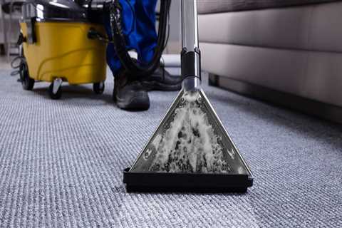 Next-Level Clean: Why Carpet Cleaning In Chicago After Maid Service Matters