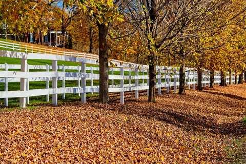 When is the Best Time to Install a Fence?