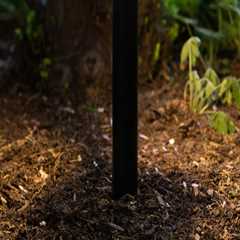 The Average Cost of Installing Smart Landscape Lighting