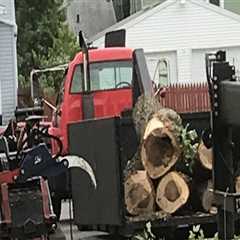 From Eyesore To Opportunity: How Stump Grinding Can Enhance Your Lancaster Property