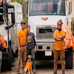 Patriot Tree Service in Northern Virginia: A Reliable and Trustworthy Choice for Your Tree Care..