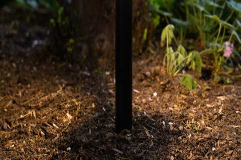 The Average Cost of Installing Smart Landscape Lighting