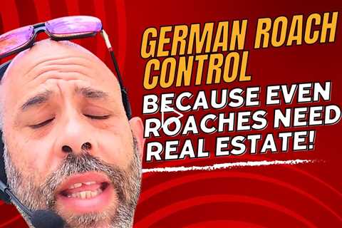 German Roach Control  Finding Nests and Baiting Tips