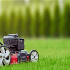 Why Hiring A Commercial Exterminator In Las Vegas Is Essential Before Starting Lawn Care