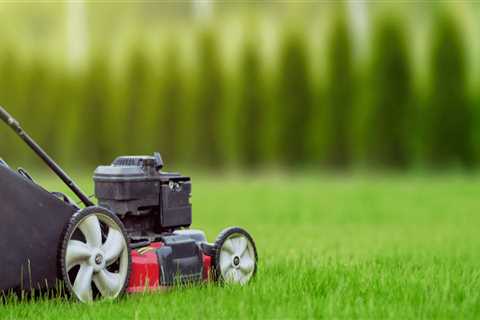 Why Hiring A Commercial Exterminator In Las Vegas Is Essential Before Starting Lawn Care