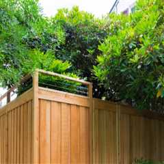 Why Tauranga Businesses Need Professional Fencing Installations