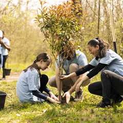 ENCOURAGING COMMUNITY INVOLVEMENT IN TREE PLANTING PROJECTS