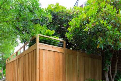 Why Tauranga Businesses Need Professional Fencing Installations