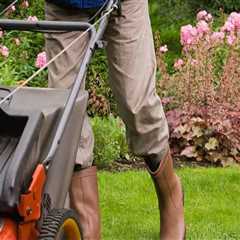 Scheduling Lawn Care Services on a Recurring Basis: What You Need to Know