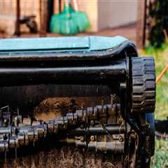 The Best Time of Year to Aerate Your Lawn: Expert Tips for Optimal Lawn Care Services