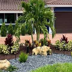 Creating The Perfect Outdoor Oasis: How Tree Care In Pembroke Pines Enhances Your Deck Construction