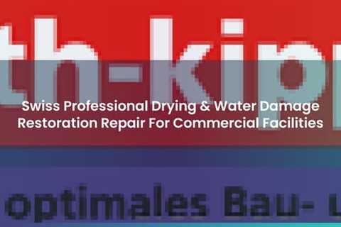 Swiss Professional Drying & Water Damage Restoration Repair For Commercial Facilities