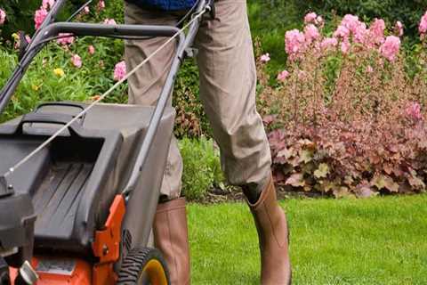 Scheduling Lawn Care Services on a Recurring Basis: What You Need to Know