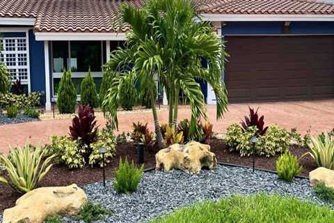 Creating The Perfect Outdoor Oasis: How Tree Care In Pembroke Pines Enhances Your Deck Construction