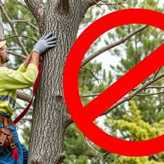 Tree Safety Supervisors Bluffdale UT