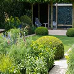 Creating a Low-Maintenance Garden: Easy Tips and Trends for Home and Garden Improvement