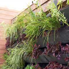 Creating a Vertical Garden: Transforming Your Home and Garden with This Latest Trend
