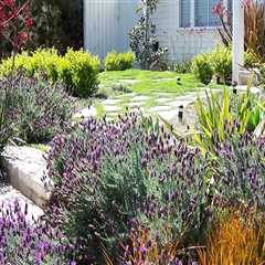 Choosing the Right Plants for Your Garden: Tips and Trends for Home Remodeling and Lawn Care