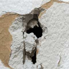 Cracks and Holes: A Comprehensive Guide to Drywall Repair