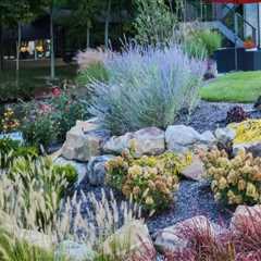 Tips for Managing Pests and Diseases in Landscaping and Construction
