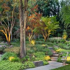 Pruning and Trimming Techniques for a Beautiful Outdoor Living Space