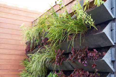Creating a Vertical Garden: Transforming Your Home and Garden with This Latest Trend