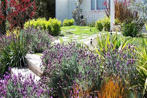 Choosing the Right Plants for Your Garden: Tips and Trends for Home Remodeling and Lawn Care