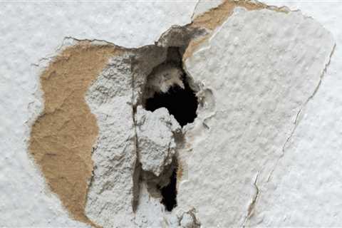 Cracks and Holes: A Comprehensive Guide to Drywall Repair