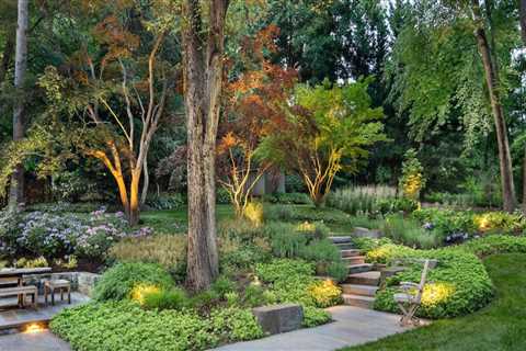 Pruning and Trimming Techniques for a Beautiful Outdoor Living Space