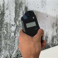 Mold Inspection: Protect Your Home and Health with Early Detection and Prevention
