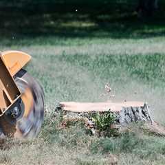 How Stump Removal Supports Healthier Groundskeeping In Kalamazoo