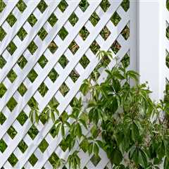 Outdoor Privacy Ideas That Complement Your Garden Design