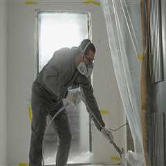 A Clean Slate: Mold Removal Services Pave The Way For Seattle Home Staging Ideas Success