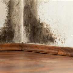 The Ultimate Guide To Hardwood Flooring Maintenance In Seattle: Preventing Mold Growth