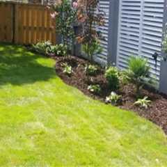 Rooted In Safety: How Termite Control Supports Healthy Residential Landscaping In Charleston, SC