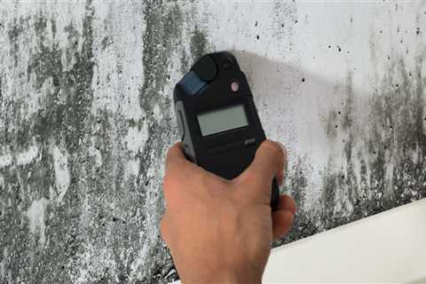 Mold Inspection: Protect Your Home and Health with Early Detection and Prevention