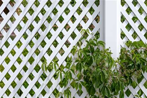 Outdoor Privacy Ideas That Complement Your Garden Design