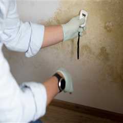 Don’t Let Mold Lurk: The Importance of a Professional Mold Inspection