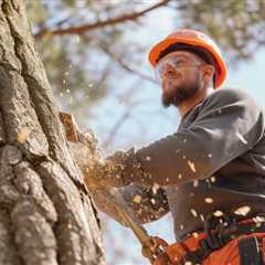 Storm Damage Garden And Yard Cleanups In Brisbane Southside And Redland City