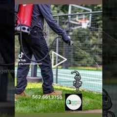 Spring pest control