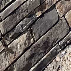 Natural Stone Building Materials And Pest Prevention: A Las Vegas Homeowner's Guide