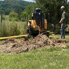 The Importance Of Stump Grinding After Tree Trimming In Johnson City