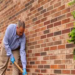 Longwood Residents: Protect Your Front Yard Landscaping Investment With A Professional Pest Control ..