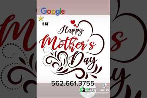 Mother's Day Special Pest Control deal!