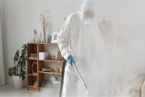 The Secret To Elevated Lawn Care: Affordable Pest Control In Isle Of Palms